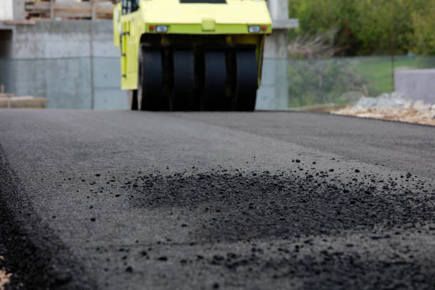 Best Driveway Pavers Near Me  in Somerville, TN