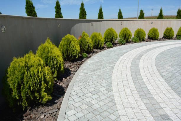 Best Brick Driveway Pavers  in Somerville, TN